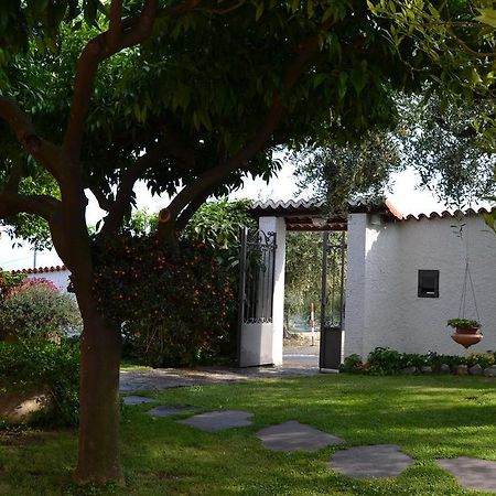 Azienda Agrituristica Villa Arianna Империя Экстерьер фото