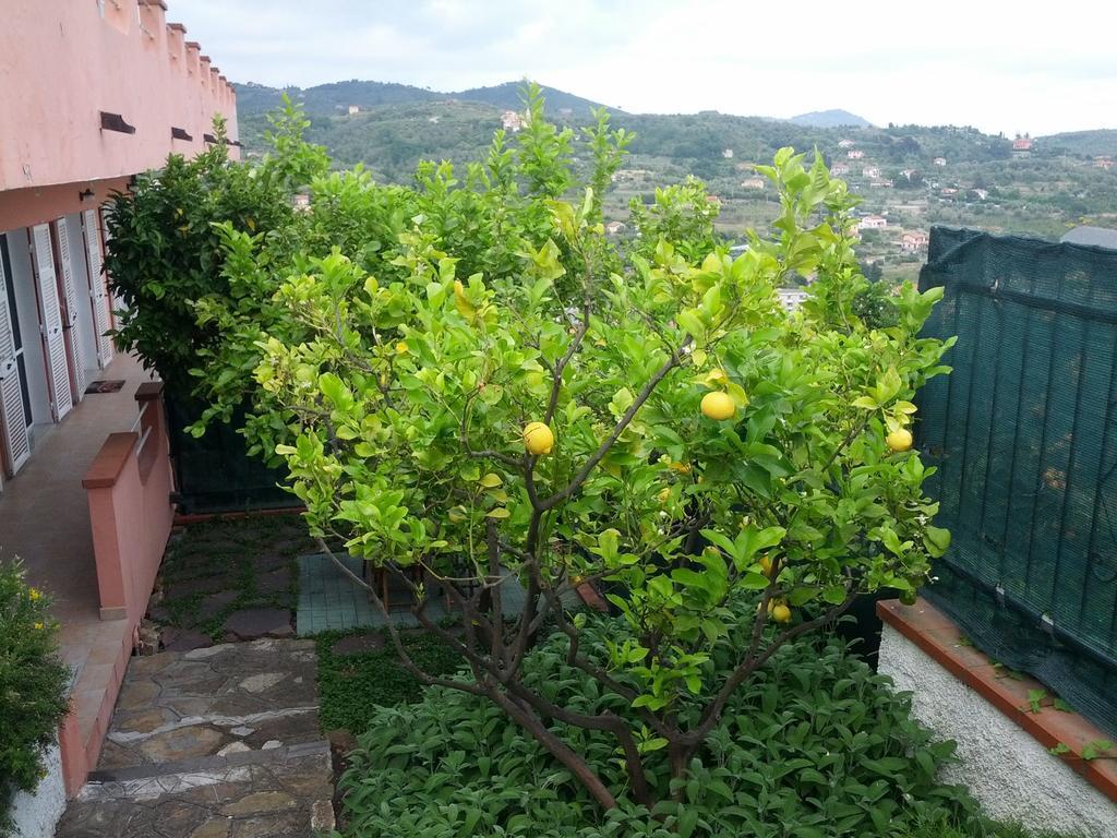 Azienda Agrituristica Villa Arianna Империя Экстерьер фото